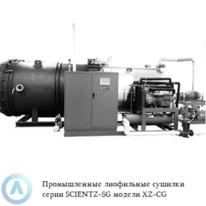 Промышленные лиофильные сушилки серии SCIENTZ-SG модели XZ-CG для фруктов и&nbsp;овощей