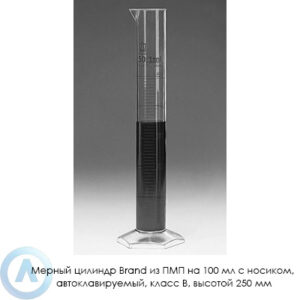 Мерный цилиндр Brand из&nbsp;ПМП на&nbsp;100&nbsp;мл с&nbsp;носиком, автоклавируемый, класс&nbsp;B, высотой 250&nbsp;мм